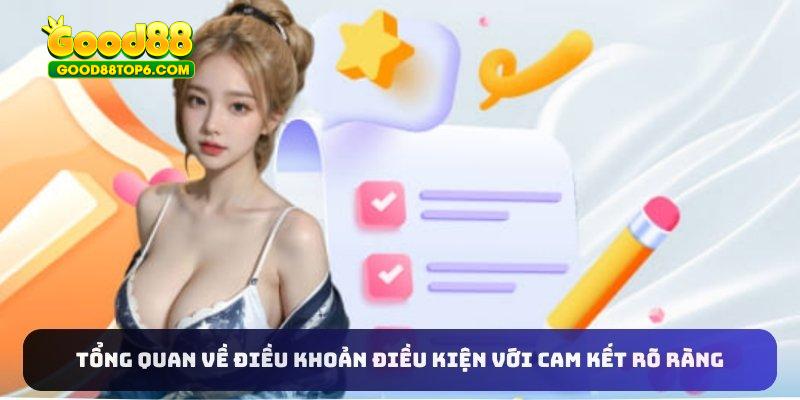 Tổng quan về điều khoản điều kiện với cam kết rõ ràng