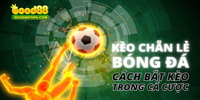 Mẹo cược chẵn lẻ siêu hay